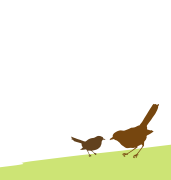 Becoming a HomeFocusing Companion